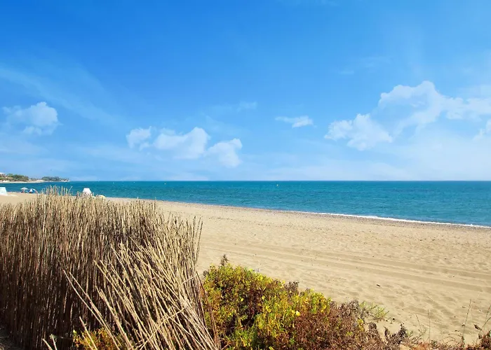 1072 Beachfront El Paraiso Retreat With Pool & Bbq