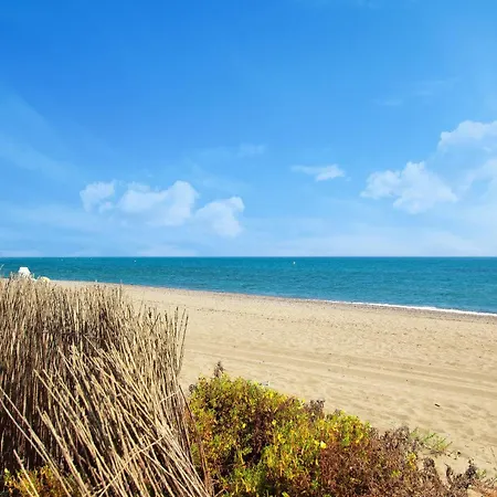 1072 Beachfront El Paraiso Retreat With Pool & Bbq